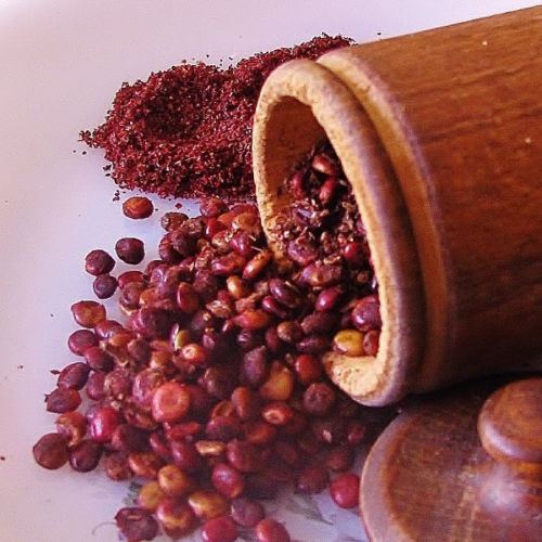 قیمت خرید و فروش عمده سماق قرمز با کیفیت ممتاز